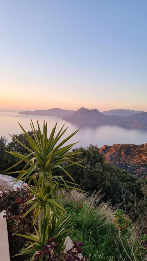 Residence Le Bella Vista เพียนา ภายนอก รูปภาพ